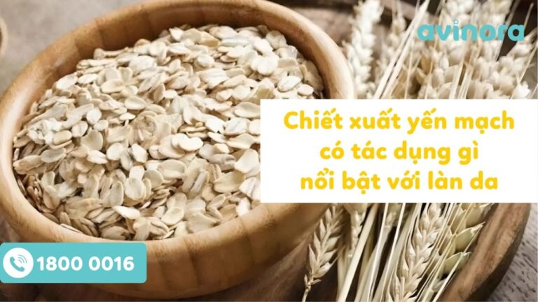 Chiết xuất yến mạch
